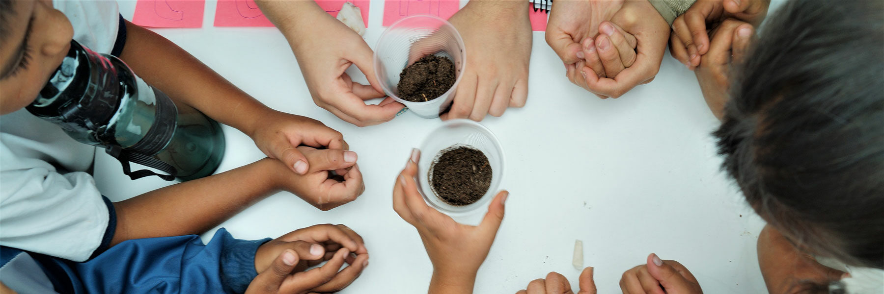 Imagen de niños alrededor de un vaso de tierra